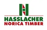 logo_hasslancher